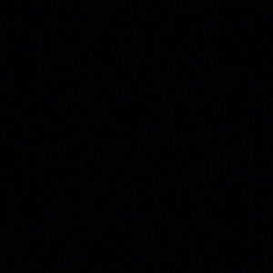 Meet your Posher, Corbin